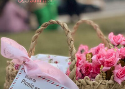picnic em paris